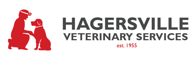 Logo for Hagersville, Ontario Veterinarian Animal Clinic | Hagersville Veterinary Service