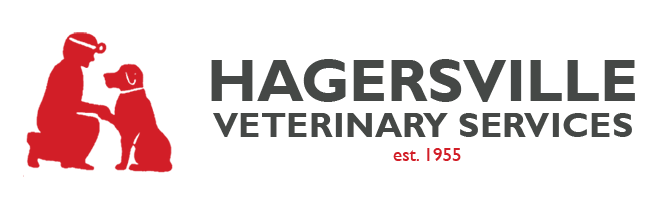Hagersville Veterinary Services Logo